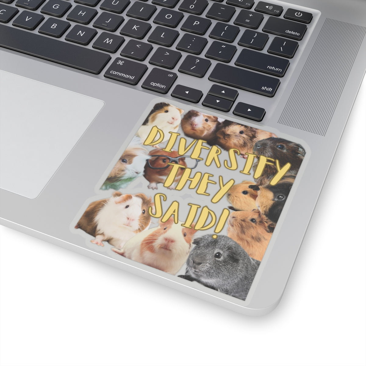 Diversify They Said Guinea Pig Lovers Kiss-Cut Stickers