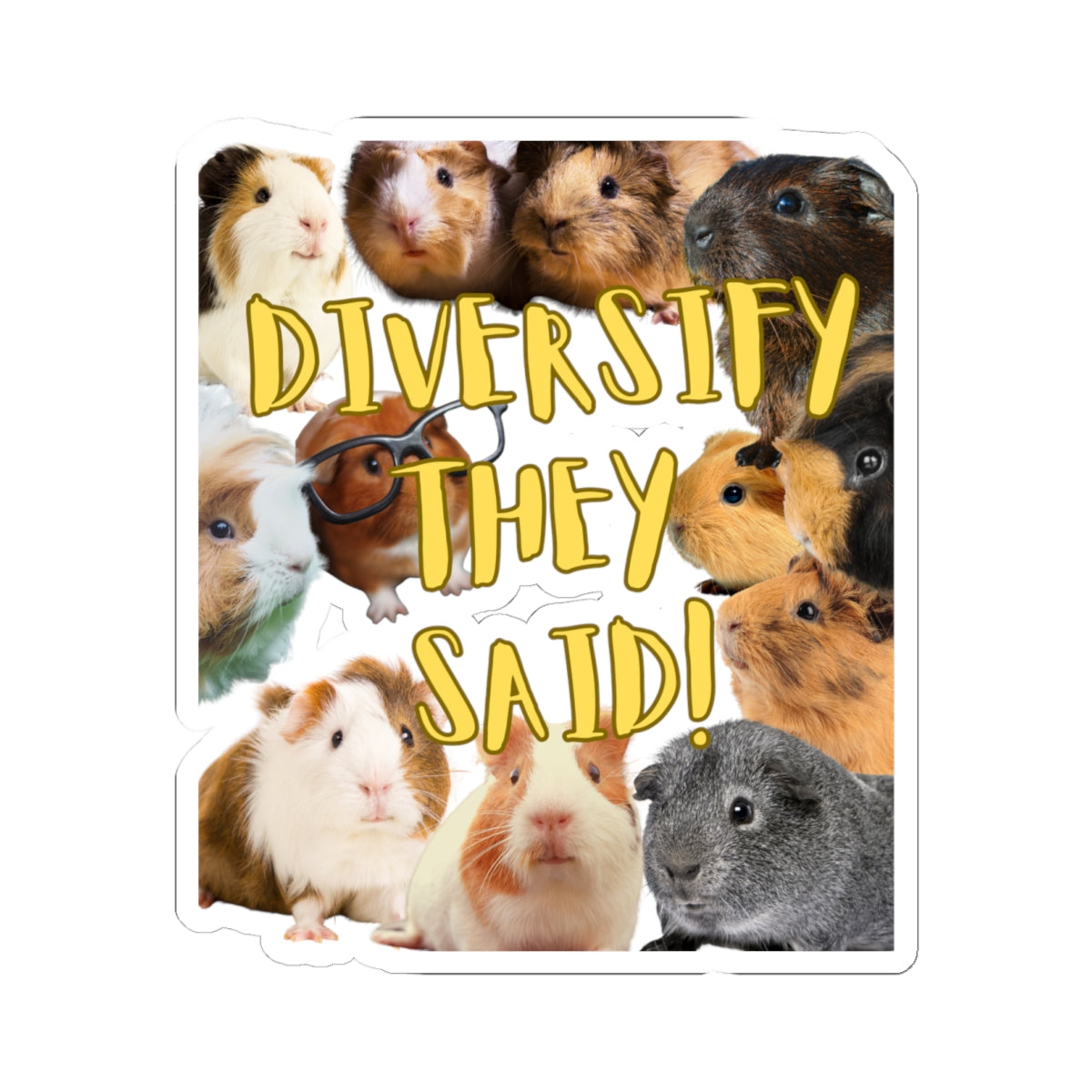 Diversify They Said Guinea Pig Lovers Kiss-Cut Stickers