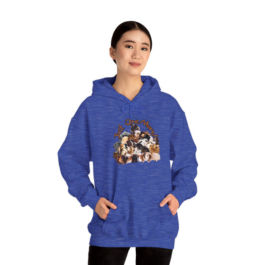 Guinea Pig Herd Hoodie, Just One More, Personalized Sweatshirt - Gift for Guinea Pig Lovers, Unisex Cozy Pullover, Customized Hooded Jumper,