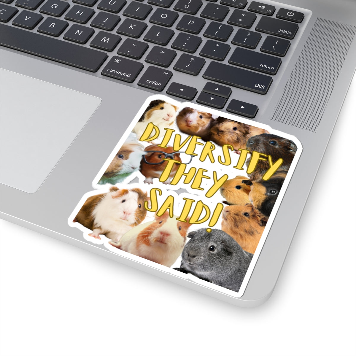 Diversify They Said Guinea Pig Lovers Kiss-Cut Stickers