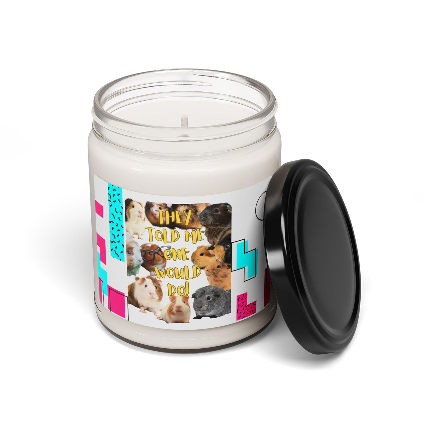 Guinea Pig They Told Me One Would Do Scented Soy Candle, 9oz